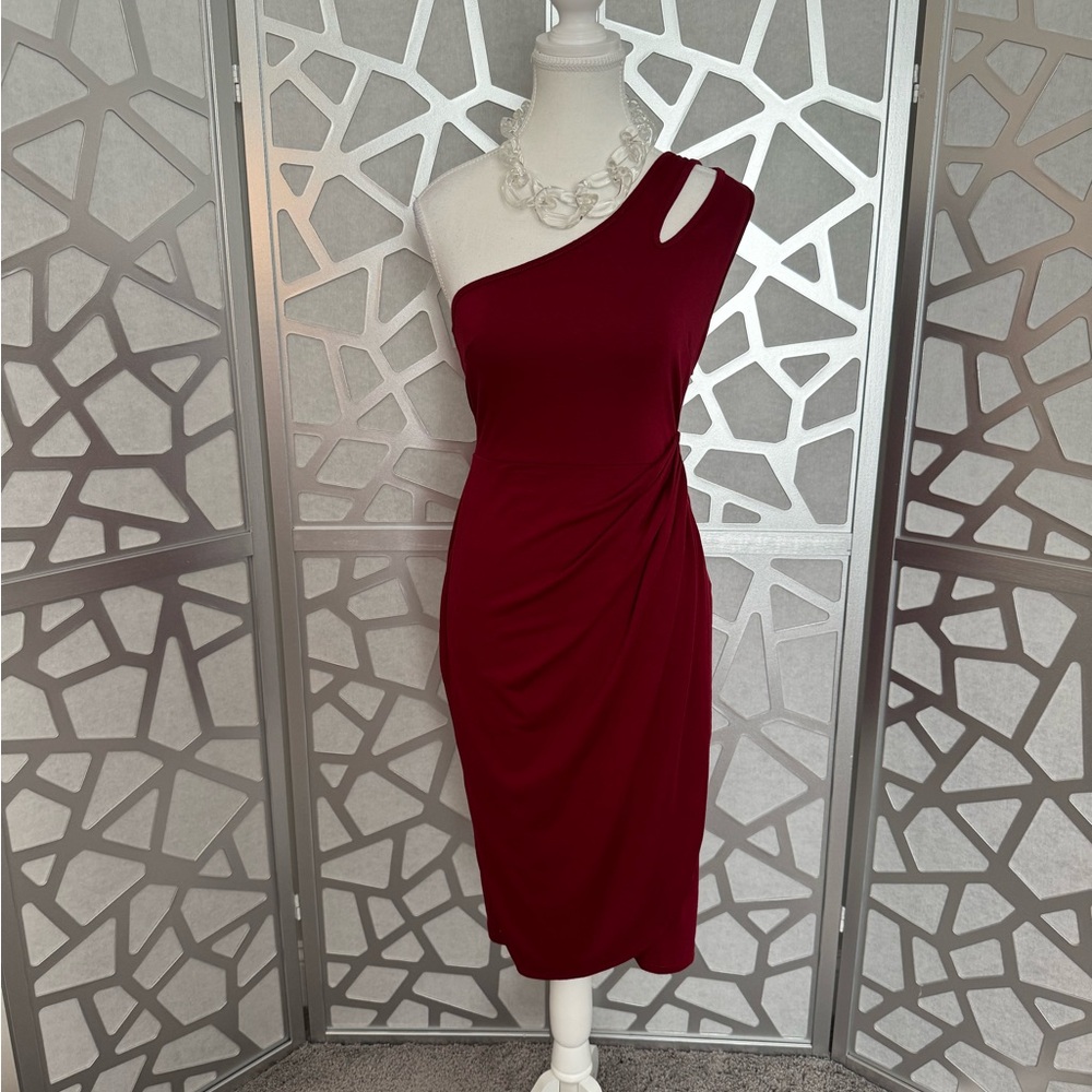 Elegant One Shoulder Berydress
